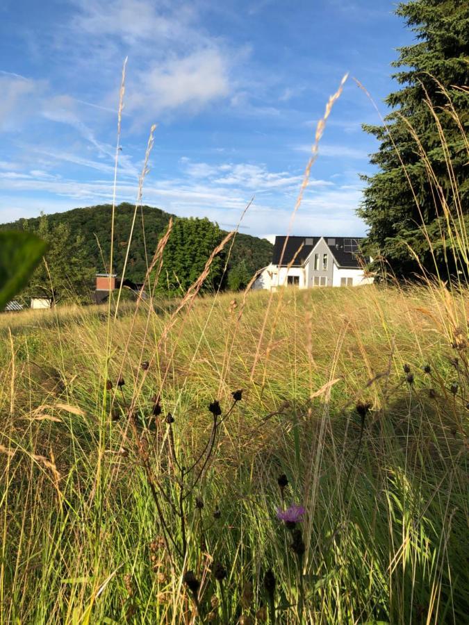 Apartment Montabaur Heiligenroth Екстер'єр фото